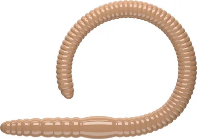Produktbild von LIBRA LURES FLEX WORM: 035 Pellet