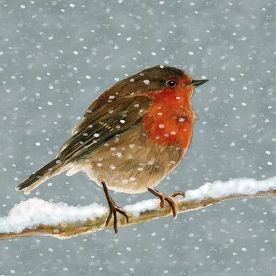 Produktbild von 20 Servietten Snow is falling - Kleiner Vogel im Schneesturm 33x33cm