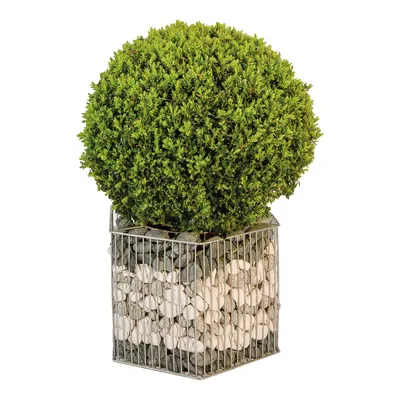 Produktbild von Gabione Pflanzkorb Montana Größe M, Stahl, 40x45,5x32,5 cm