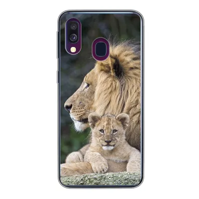 Produktbild von MuchoWow® Handyhülle Schutzhülle Hülle für Samsung Galaxy A40 Erwachsener Löwe mit Jungtier Silikon Softcase Handy Hülle - Handy-Tasche