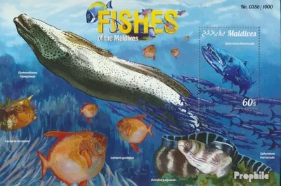 Produktbild von Briefmarken Malediven 2015 Mi Block 871 (kompl. Ausg.) postfrisch Fische der Malediven