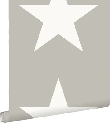 Immagine prodotto di ESTAhome carta da parati stella grigio caldo 53 cm x 10.05 m