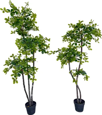 Image de Plante artificielle, entretien facile, forme adaptable, vert, 180cm