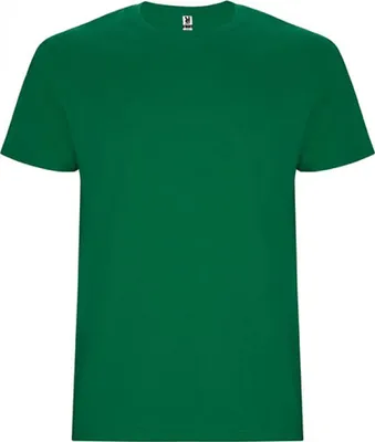 Produktbild von Roly CA6681 | Stafford T-Shirt - Doppellagiger Rundhalskragen - Farbe: Kelly Green 20 - Größe: M