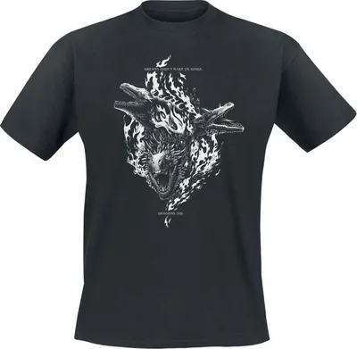 Produktbild von Game Of Thrones T-Shirt Herren House Of The Dragon - Dreams Didn't Make Us Kings schwarz L