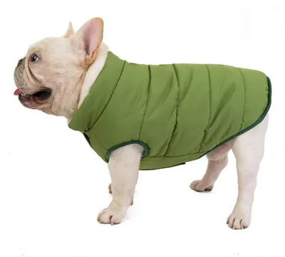 Immagine prodotto di Cappotto per cani, inverno, caldo, antivento, taglia M, verde, cotone, pile