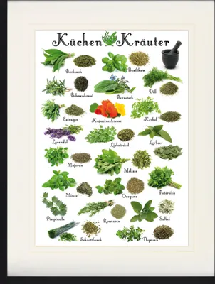 Produktbild von Kochkunst Gerahmtes Bild Mit Edlem Passepartout | Wand-Bilder | Im Bilderrahmen - Küchen-Kräuter (80 x 60 cm)