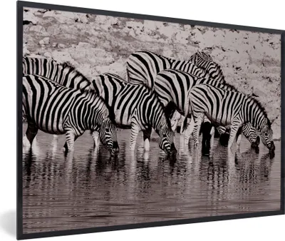 Produktbild von MuchoWow® Gerahmtes Poster Zebras im Wasser 60x40 cm - Poster mit Schwarzem Bilderrahmen Wandposter Rahmen Foto Bilder - Printing - Wanddeko Schlafzimmer