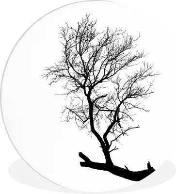 Produktbild von MuchoWow® - Wand-Kreis - Wohnzimmer - Bild - Runde - Wanddeko - Dibond - Kunstdrucke