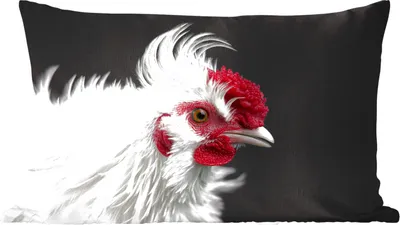 Produktbild von MuchoWow® Zierkissen Sofakissen Wohnzimmer Dekokissen 50x30 cm Huhn - Vogel - Schwarz - Wohnzimmerdekoration - Polster mit Photo