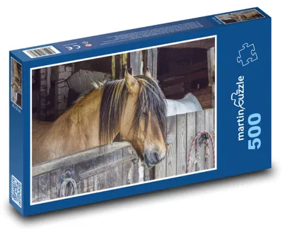 Obrázok produktu pre martinpuzzle – Puzzle 500 – Zvieratá – Kôn