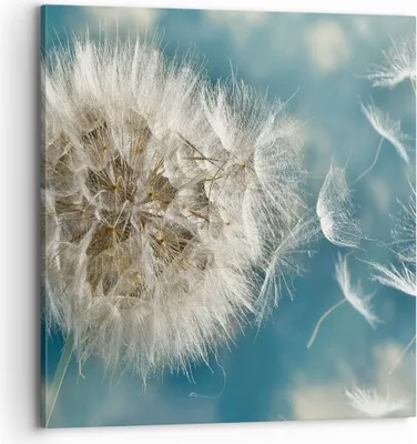 Produktbild von Bild auf Leinwand - Leinwandbild - Baby Sommer Pflanze - 70x70cm - Wand Bild - Wanddeko - Wandbilder - Leinwanddruck - Bilder - Kunstdruck - Wanddekoration - Leinwand bilder - Wandkunst - AC70x70-3567