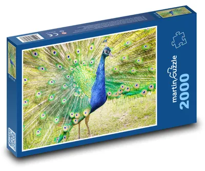 Obrázek produktu pro martinpuzzle - Puzzle 2000 - Páv