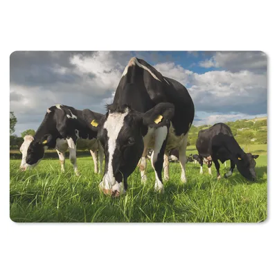 Produktbild von MuchoWow® Schreibtischunterlage Kühe - Tiere - Gras - Wiese - Bauernhof 60x40 cm - XXL Mauspad - Großes Mauspad