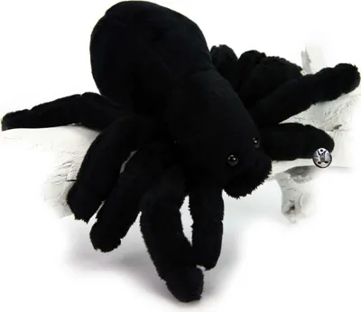 Produktbild von Spinne Kuscheltier black Spider Vogelspinne schwarz Plüschtier TARANTULA