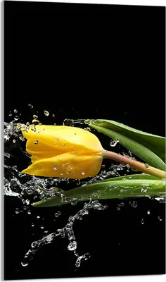 Produktbild von Herdabdeckplatte 30x52 Glaskeramikkochfeld Abdeckung Spritzschutz Glasplatte Deko Schneidebrett, Tulpe Schwarz