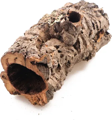 Immagine prodotto di Corteccia di quercia da sughero - per la scala Terrario