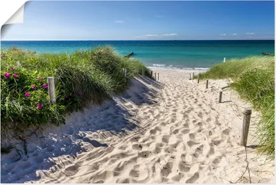 Produktbild von ARTland Poster Weg zum Strand an der Ostsee Größe: 60x40 cm
