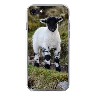 Produktbild von MuchoWow® Handyhülle Schutzhülle Hülle für iPhone 8 Lamm - Schwarz - Weiß - Tupfen Silikon Softcase Handy Hülle - Schutzhaube