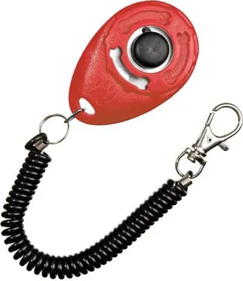 Produktbild von Karlie Speed Clicker mit Band 6 x 4 cm farblich sortiert