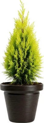Produktbild von HowHomely | Blumentopf - Pflanzgefäß - 47x55 cm - braun - Rillenstruktur - aus Recyclingmaterial - Outdoor
