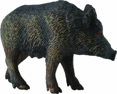 Image de Collecta 88364 Sanglier 6 cm Animaux sauvages