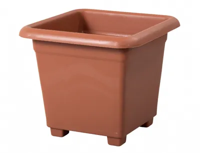 Image de Quattro Pot de fleurs en terre cuite Longueur : 20 cm