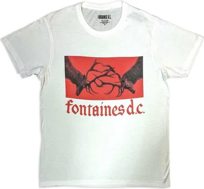 Image de Fontaines DC - T-shirt Logo pour homme/femme unie RO10493 (XXL) (Blanc)