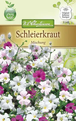 Produktbild von Schleierkraut Mischung | Blumensamen von N.L. Chrestensen