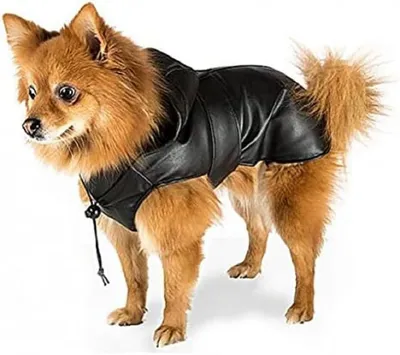 Image de Ferplast Schwarz (Noir Trench, taille 50)
