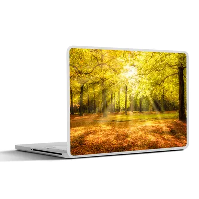 Produktbild von MuchoWow® Laptop Aufkleber Sticker Cover Baum - Natur - Sonne - Landschaft - Wald 36.5x27.5 cm - Laptop-Sticker