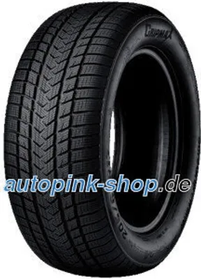Zdjęcie produktu dla Gripmax Suregrip Ewinter 205/50R17 93V Bsw Xl