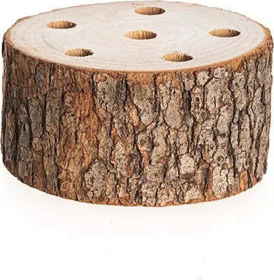 Baumstamm 10 x 4 cm Kampferholz Holzstamm mit vorgebohrten Löchern Deko Basteln mit Kindern Weihnachts-Deko Osterbasteln Herbst Basteln in Jahreszeiten Hochzeit Geburtstag