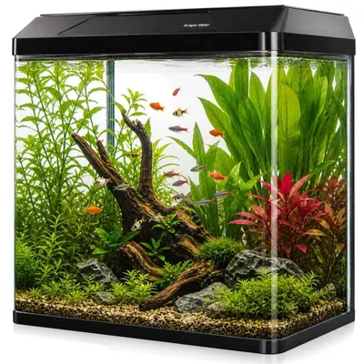Produktbild von Kruger Meier LAORIA Panoramisch 400 - Aquarium 30l mit Beleuchtung und Abdeckung