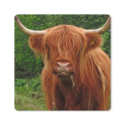 Produktbild von MuchoWow® Mauspad Mousepad Schottischer Highlander - Kuh - Gras 30x30 cm - Mousepads - Maus Mat - Pad - Mausunterlage - Gaming