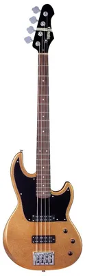 Obrázok produktu pre Shergold Libertine Standard Bass SBL15 Metallic Gold Gloss