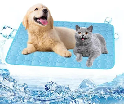 Produktbild von Kühlmatte für Hunde 75x50cm Blau L