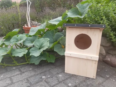 Produktbild von Entenhaus für Schellenten fertig montiert