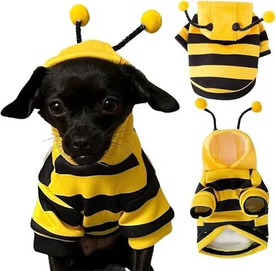 Productafbeelding van Halloweenkostuum voor honden, bijenkostuum voor kleine en middelgrote