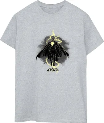 Produktbild von DC Comics - T-Shirt für Damen BI11831 (3XL) (Grau)