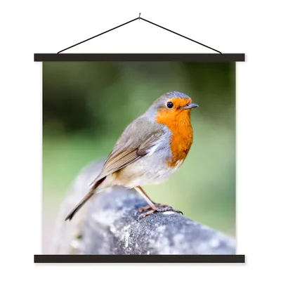 Produktbild von MuchoWow® Textilposter Rotkehlchen - Ast - Holz 90x90 cm mit schwarzem Rahmen - Magnetisches