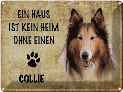 Produktbild von vianmo Blechschild 30x40 cm Collie Hund