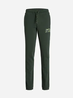 Produktbild von Jack&Jones Hosen für Kinder, JPSTGORDON