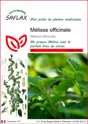 Image de SAFLAX  - Mélisse officinale - 150 graines - Melissa