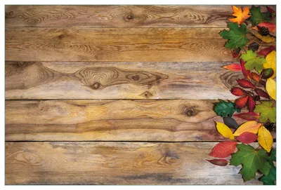 Produktbild von Wallario Küchenrückwand aus Glas, Größe: 90 x 60 cm, Motiv: Herbstlaub auf Holzbrettern | Spritzschutz | abwischbar | pflegeleicht | in