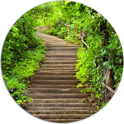 Produktbild von Wallario rundes Outdoor-Poster für Garten oder Balkon, Motiv Steintreppe im Wald, 120 cm Durchmesser