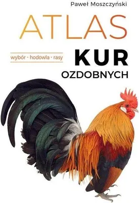 Immagine prodotto di Atlas Kur Ozdobnych