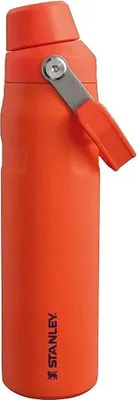 Obrázek produktu pro Stanley láhev na vodu The Aerolight IceFlow Fast Flow - Tigerlily Plum - 600 ml