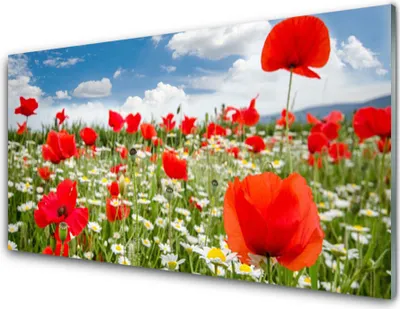 Produktbild von Küchenrückwand aus Glas 100x50cm Spritzschutz Wiese Blumen Natur
