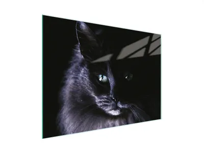 Obrázek produktu pro Krájecí deska Krycí deska na sporák Multiglass krájecí deska 30x22 cm Cat Black